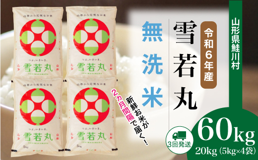 [令和6年産米] 山形県産 雪若丸[無洗米]60kg定期便(20kg×3回) 配送時期指定できます! 鮭川村