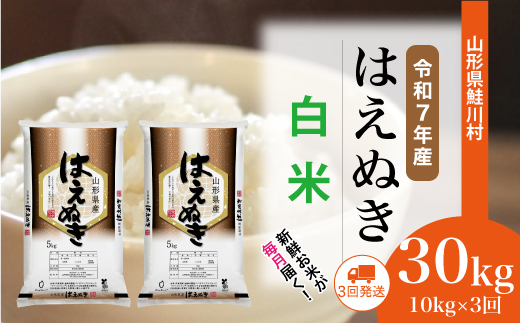 [令和7年産米] 山形県産 はえぬき [白米]30kg定期便 (10kg×3回) 配送時期指定できます!