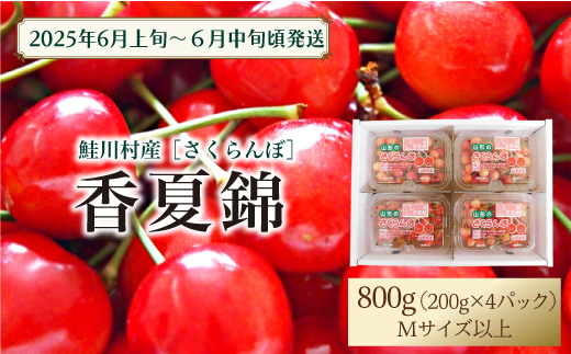 [令和7年産 早期受付] 鮭川村産さくらんぼ [香夏錦] M〜Lサイズ混合 フードパック800g(200g×4P)