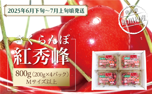 [令和7年産 早期受付] 鮭川村産さくらんぼ [紅秀峰] フードパック800g(200g×4P)