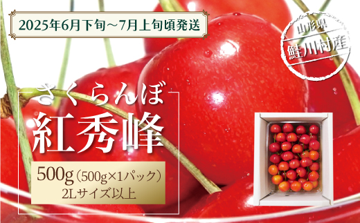 [令和7年産 早期受付] 鮭川村産さくらんぼ [紅秀峰] 特秀2Lサイズ以上バラ詰め 500g