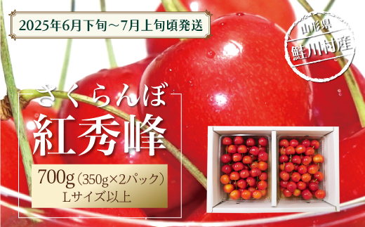 [令和7年産 早期受付] 鮭川村産さくらんぼ [紅秀峰] Lサイズ以上バラ詰め 700g