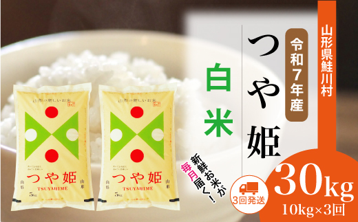 [令和7年産米] 山形県産 特別栽培米 つや姫 [白米]30kg定期便 (10kg×3回) 配送時期指定できます!