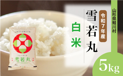 [令和7年産米] 山形県産 雪若丸 [白米] 5kg (5kg×1袋) 配送時期指定できます!