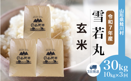 [令和7年産米] 山形県産 雪若丸 [玄米]30kg 定期便 (10kg×3回) 配送時期指定できます!