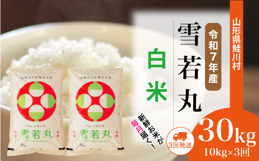 [令和7年産米] 山形県産 雪若丸 [白米]30kg定期便 (10kg×3回) 配送時期指定できます!