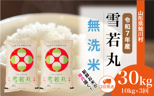 [令和7年産米] 山形県産 雪若丸 [無洗米]30kg定期便 (10kg×3回) 配送時期指定できます!