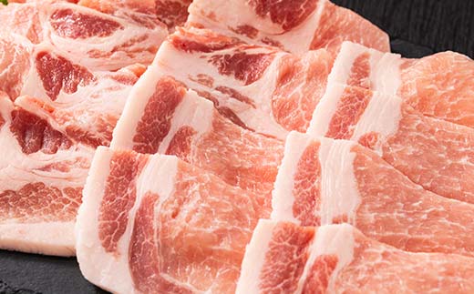 山形県 戸沢村産 戸澤豚一番育ち ロース 1.2kg(300g×4) 焼肉用 豚肉 豚 肉 ポーク 国産 ブランド豚 冷凍 BBQ バーベキュー 贈答用 贈り物 プレゼント 自宅用 家庭用 F7W-0063