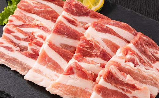 山形県 戸沢村産 戸澤豚一番育ち バラ 900g(300g×3) 焼肉用 豚肉 豚 肉 ポーク 国産 ブランド豚 冷凍 BBQ バーベキュー 贈答用 贈り物 プレゼント 自宅用 家庭用 F7W-0068