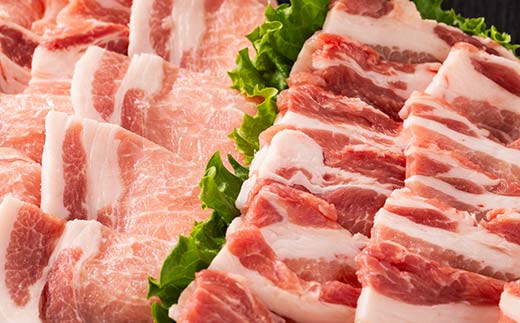 山形県 戸沢村産 戸澤豚一番育ち 2種食べ比べセット 1.2kg(ロース300g×2 バラ300g×2) 焼肉用 豚肉 豚 肉 ポーク 国産 ブランド豚 冷凍 BBQ バーベキュー 贈答用 贈り物 プレゼント 自宅用 家庭用 F7W-0073