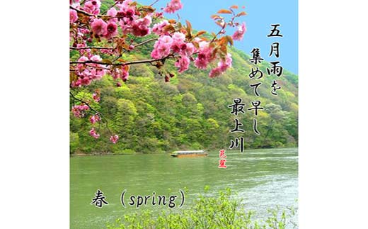 最上川舟下り 乗船チケット 1名様分 定期航路約60分(古口港→草薙港) 船頭案内 舟歌 トーク チケット 券 旅行 観光 体験 最上川 山形県 戸沢村 F7W-0119