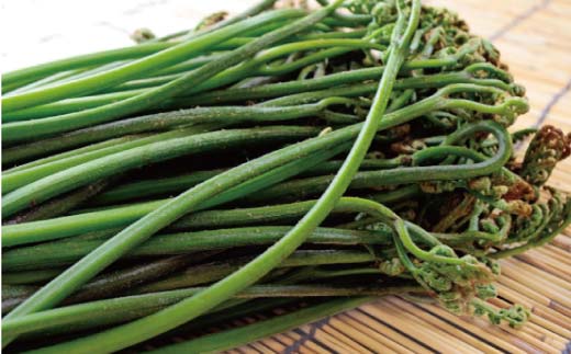 山形県 戸沢村産 寺台農園 自慢の山菜セット 3種6個(わらび水煮2袋、うど水煮2袋、山菜ミックス2袋) 国産 山菜 さんさい 野菜 やさい 山の幸 水煮 小分け 山形県 戸沢村 F7W-0001