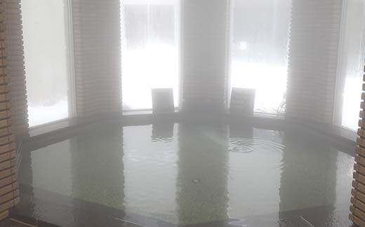 いきいきランド ぽんぽ館 大人入浴券 5枚 F7W-0027