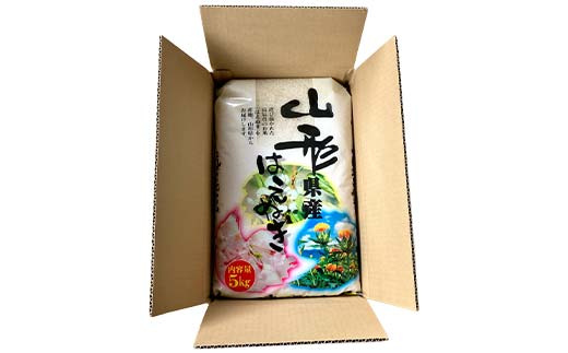 【定期便3回】令和7年度 山形県産 はえぬき 10kg(5kg×2)×3回 合計30kg 精米 白米 お米 米 米米 新米 ご飯 ごはん ブランド米 銘柄米 2025年産 令和7年度産 家庭用 自宅用 贈答用 お取り寄せ 食品 定期便 頒布会 毎月届く 山形県 戸沢村 F7W-0259