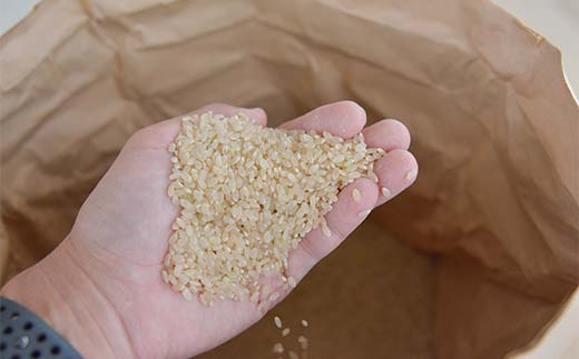 令和7年度 山形県産 雪若丸 玄米 30kg お米 米 米米 ご飯 ごはん ゆきわかまる ブランド米 銘柄米 2025年産 令和7年度産 30キロ 家庭用 自宅用 贈答用 お取り寄せ 食品 山形県 戸沢村 F7W-0269