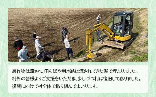 復興応援米 令和7年度 山形県戸沢村産 雪若丸 5kg 精米 白米 お米 米 ご飯 ごはん ブランド米 2025年産 令和7年 家庭用 自宅用 贈答用 お取り寄せ 食品 山形県 戸沢村 F7W-0181