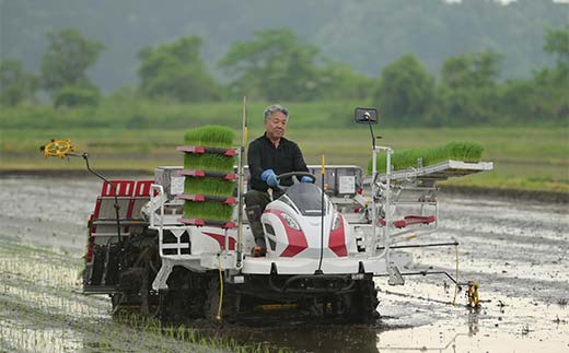 令和7年度 山形県戸沢村産 雪若丸 5kg 精米 白米 お米 米 米米 新米 ご飯 ごはん ブランド米 銘柄米 ゆきわかまる 2025年産 令和7年度産 家庭用 自宅用 贈答用 お取り寄せ 食品 山形県 戸沢村 F7W-0161