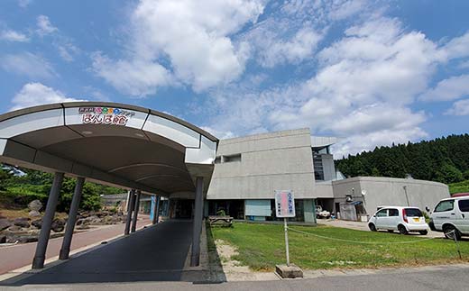 いきいきランド ぽんぽ館 大人入浴券 11枚 F7W-0008