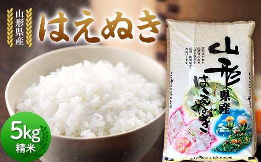 令和6年度 山形県産 はえぬき 5kg 精米 白米 お米 米 ご飯 ごはん ブランド米 2024年産 家庭用 自宅用 贈答用 お取り寄せ 食品 山形県 戸沢村 F7W-0090