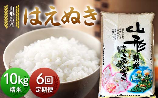 【定期便6回】令和7年度 山形県産 はえぬき 10kg(5kg×2)×6回 合計60kg 精米 白米 お米 米 米米 新米 ご飯 ごはん ブランド米 銘柄米 2025年産 令和7年度産 家庭用 自宅用 贈答用 お取り寄せ 食品 定期便 頒布会 毎月届く 山形県 戸沢村 F7W-0126