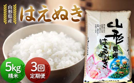 【定期便3回】令和7年度 山形県産 はえぬき 5kg×3回 合計15kg 精米 白米 お米 米 米米 新米 ご飯 ごはん ブランド米 銘柄米 2025年産 令和7年度産 家庭用 自宅用 贈答用 お取り寄せ 食品 定期便 頒布会 毎月届く 山形県 戸沢村 F7W-0257
