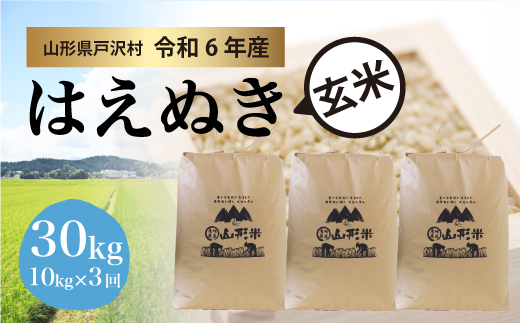 [令和6年産米受付 配送時期指定可] はえぬき[玄米]30kg 定期便 (10kg×3回) 戸沢村