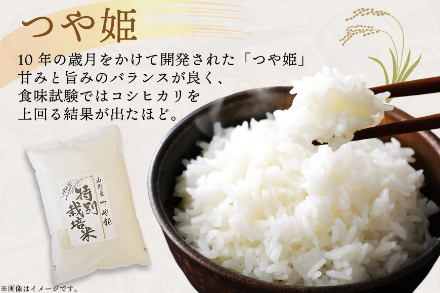 米 令和7年度産 特別栽培米 つや姫 5kg [渡部ファーム 山形県 高畠町 tk06ays810030] お米 白米 精米 ごはん ご飯 ブランド米