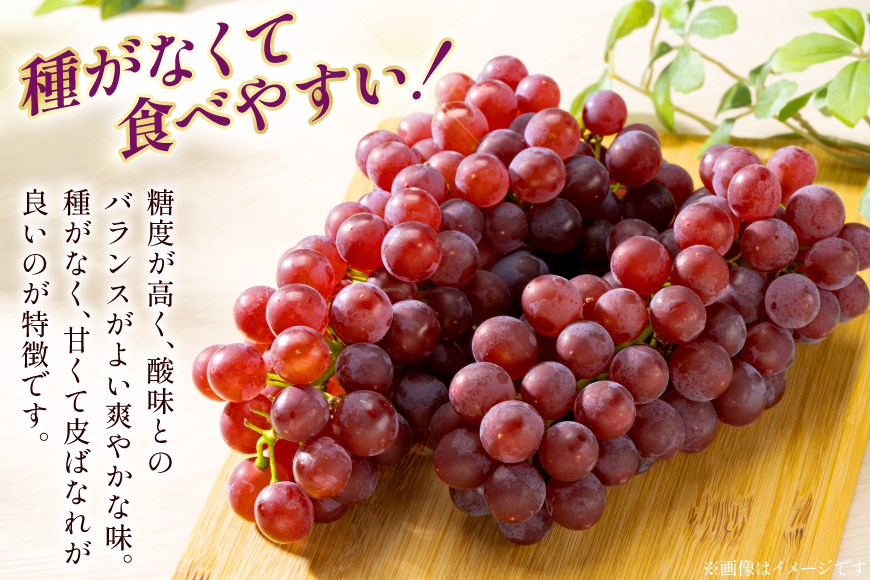 【期間限定発送】 デラウェア 秀品 5～8房 約 1kg [治右衛門果樹園 山形県 高畠町 tk06ays830010] ぶどう 種無し ブドウ 葡萄 くだもの 果物 フルーツ 産地直送 農家直送 期間限定 甘い