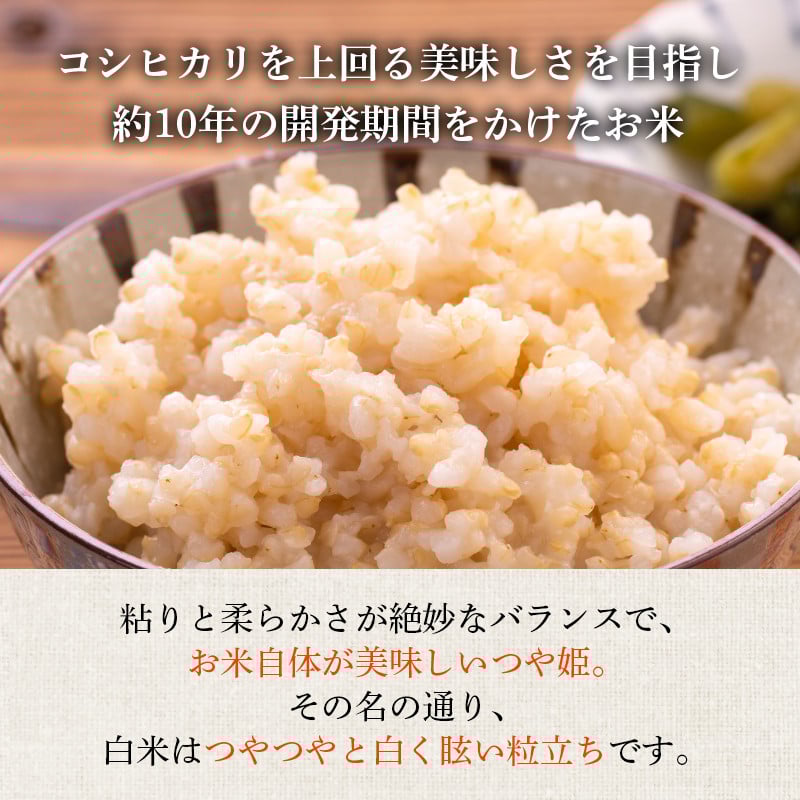 米 3回 定期便 令和7年産 つや姫 5kg 有機JAS 玄米 [農家の蔵出し米生産組合 山形県 高畠町 tk06ays900012] コメ ご飯 ごはん お米 ブランド米