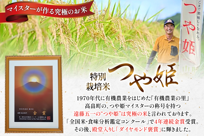 玄米 令和7年 つや姫マイスターが作る 特別栽培米 つや姫 5kg [遠藤農園 山形県 高畠町 tk06ayt120013] 5キロ お米 ブランド米 ごはん ご飯 こめ