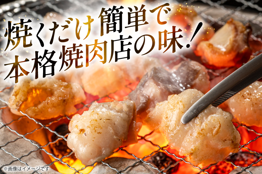 豚肉 ホルモン 塩にんにくホルモン 180g 2p 計360g [りんご苑 山形県 高畠町 tk06ays660006] 焼肉 やきにく 国産 豚 味付き 辛みそ 味噌 小分け 簡単 手軽 調理 おかず 冷凍