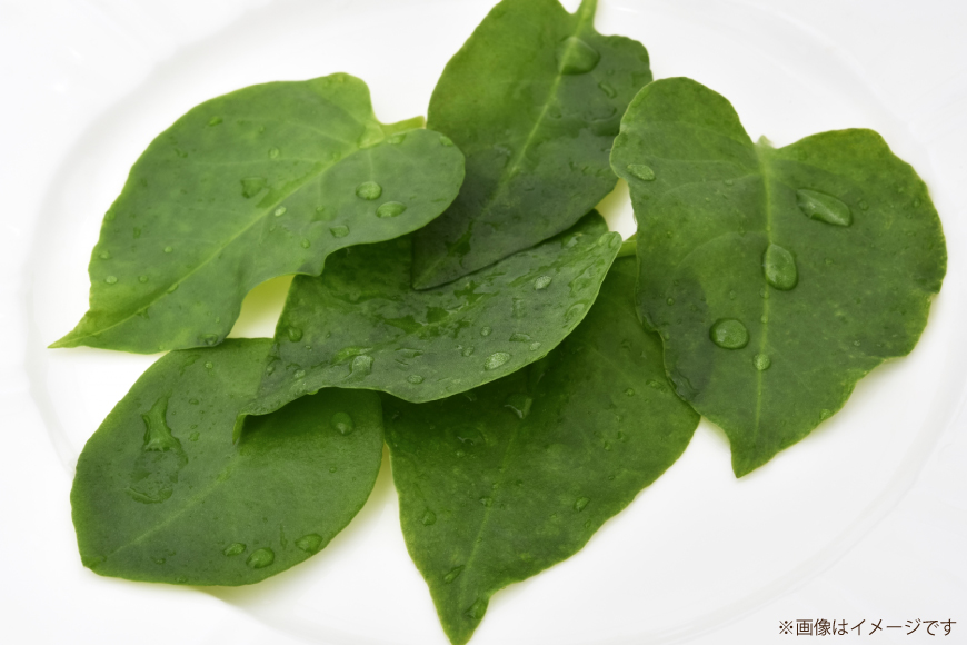 ゲンキナ 150g 18p [よねおりかんこうセンター 山形県 高畠町 tk06ays760011] 野菜 やさい 腸活 オカワカメ