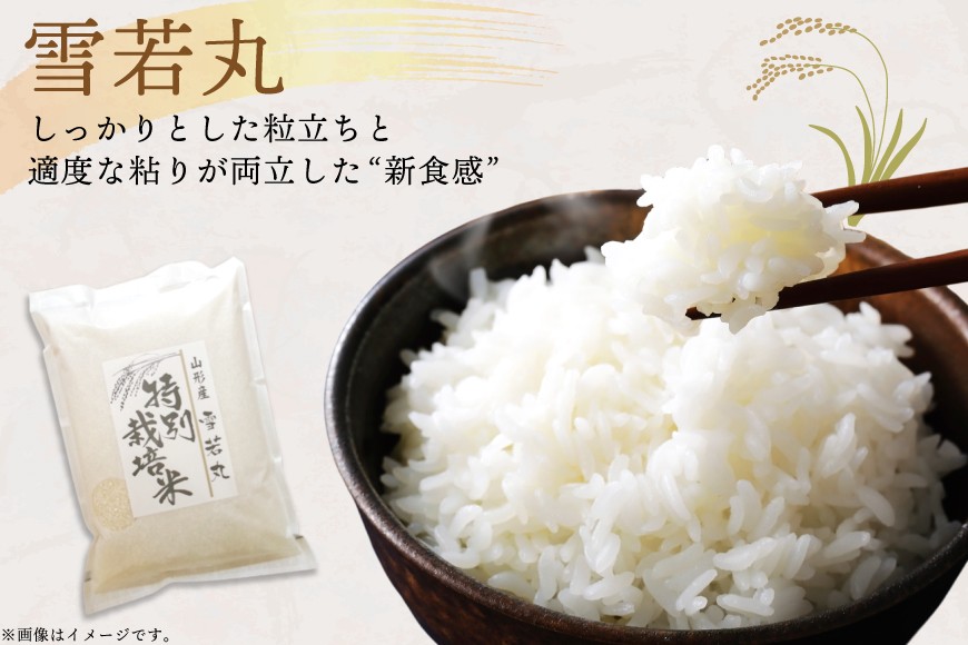 米 令和7年度産 特別栽培米 雪若丸 10kg [渡部ファーム 山形県 高畠町 tk06ays810029] お米 白米 精米 ごはん ご飯 ブランド米