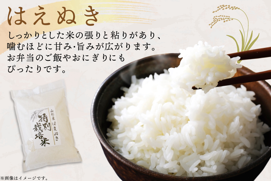 米 定期便 3回 令和7年 はえぬき 5kg 3回 計15kg [渡部ファーム 山形県 高畠町 tk06ays810041] お米 白米 精米 ごはん ご飯 ブランド米