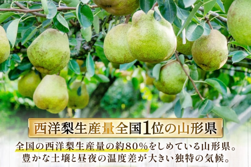 【期間限定発送】 ラ・フランス 高畠町産 ラ・フランス 7～9玉 約 3kg [JA山形おきたま 山形県 高畠町 tk06ays870042] 梨 洋梨 果物 くだもの フルーツ 3キロ