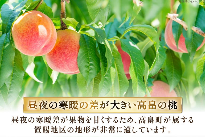【期間限定発送】 高畠町産 桃 6～10玉 3kg [JA山形おきたま 山形県 高畠町 tk06ays870044] 桃 もも モモ フルーツ くだもの 果物