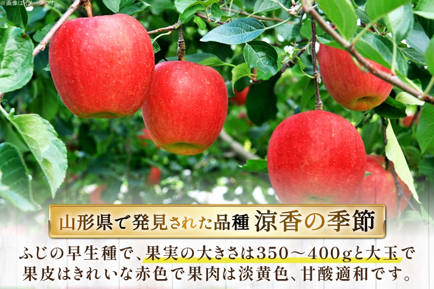 【期間限定発送】 りんご 高畠町産 涼香の季節 14～18玉 5kg [JA山形おきたま 山形県 高畠町 tk06ays870045] 果物 くだもの フルーツ 林檎 リンゴ 産地直送