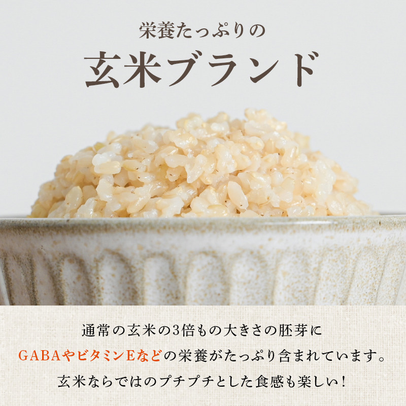 米 令和7年産 金のいぶき 10kg 有機JAS 玄米 [農家の蔵出し米生産組合 山形県 高畠町 tk06ays900003] コメ ご飯 ごはん お米 ブランド米