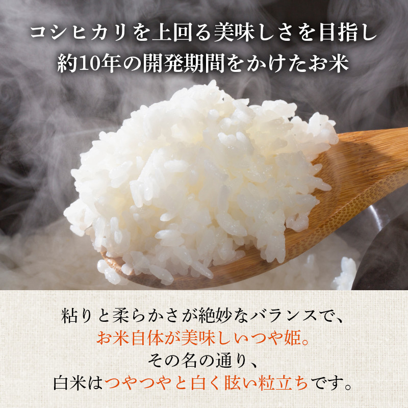 米 令和7年産 つや姫 10kg 有機JAS 精米 [農家の蔵出し米生産組合 山形県 高畠町 tk06ays900017] コメ ご飯 ごはん お米 ブランド米