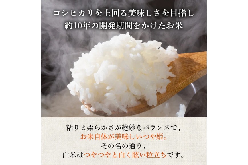 米 令和7年産 つや姫 10kg 特別栽培米 精米 [農家の蔵出し米生産組合 山形県 高畠町 tk06ays900023] コメ ご飯 ごはん お米 ブランド米