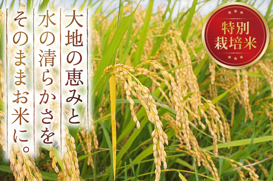 令和7年産 特別栽培米 つや姫 5kg [田制農園 山形県 高畠町 tk06ayt230007] 精米 白米 米 お米 ブランド米 ごはん ご飯