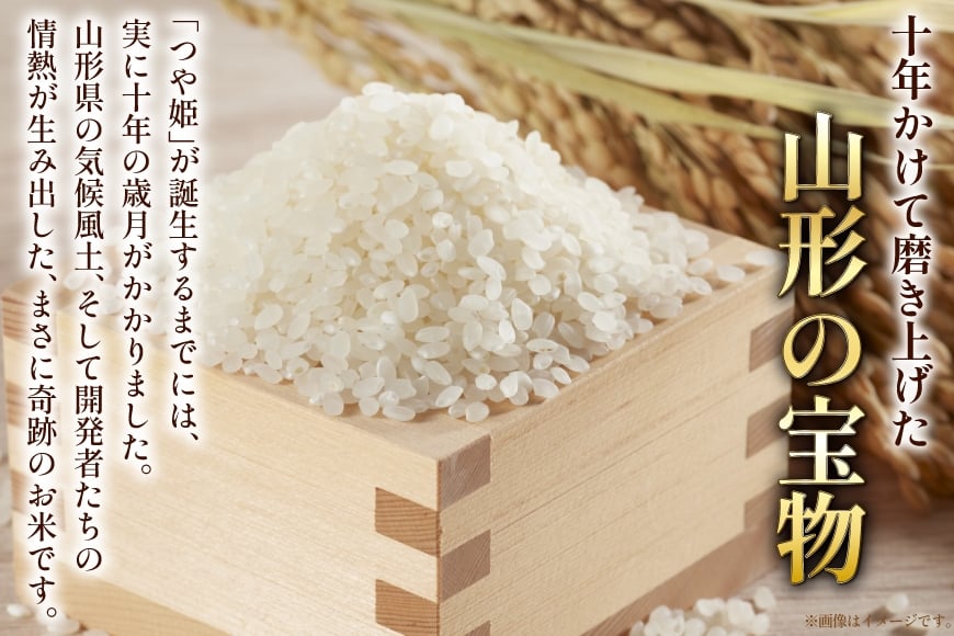 米 令和7年産 特別栽培米 つや姫 10kg (5kg×2) [本田勇仁 山形県 高畠町 tk06bgj910005] お米 白米 精米 ごはん ご飯 ブランド米