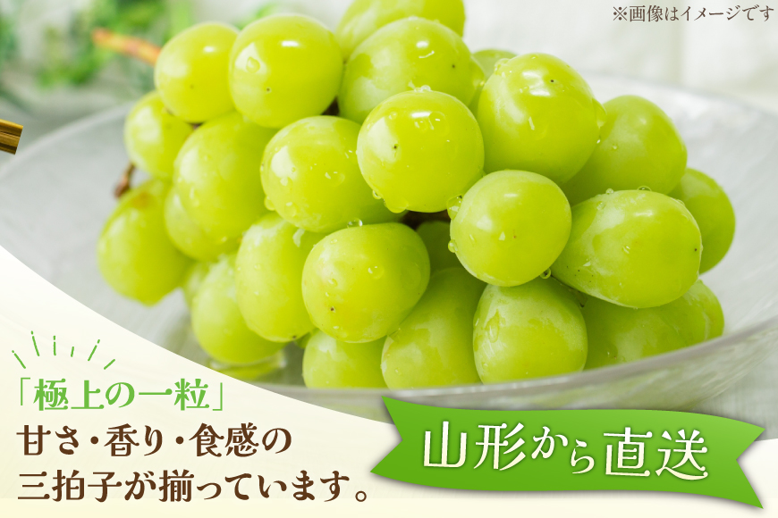 【期間限定発送】【2026年発送】 シャインマスカット 秀品 約2kg (約3〜4房) [齋藤農園 山形県 高畠町 tk06bgt070000] ぶどう ブドウ 葡萄 マスカット フルーツ 果物 くだもの 産地直送 農家直送 冷蔵 果実