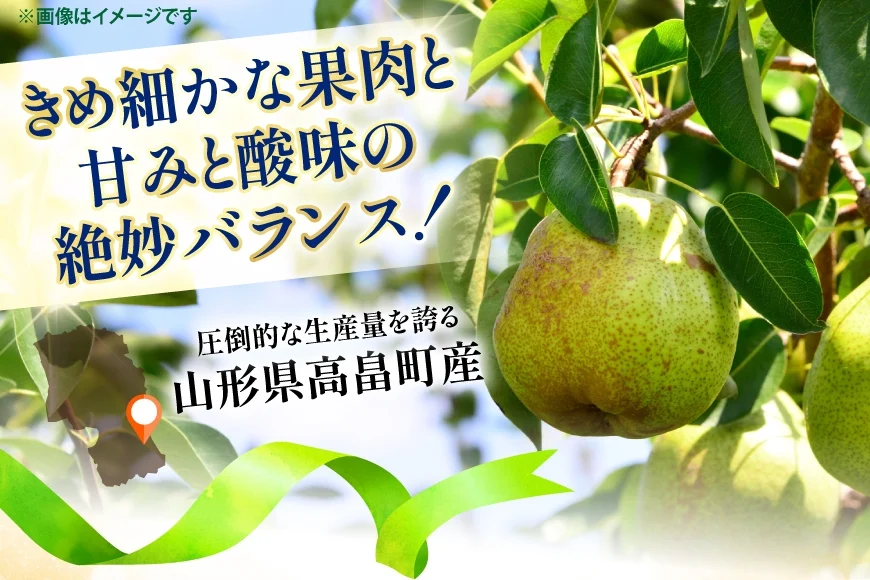 【期間限定発送】 ラ・フランス 山形県 セレクション品 ラ・フランス 9玉 3kg [三鷹洋梨園 山形県 高畠町 tk06ays910000] 果物 くだもの フルーツ 洋なし 洋梨 ラフランス