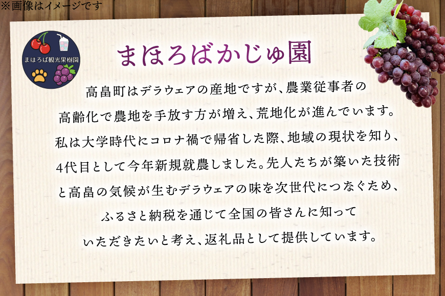 100% ぶどう ジュース 1L 6本 セット [まほろばかじゅ園 山形県 高畠町 tk06bim610000] 葡萄 ブドウ 飲み物 飲料 農家直送 産地直送 デラウェア 果汁 果実 果物 くだもの フルーツ