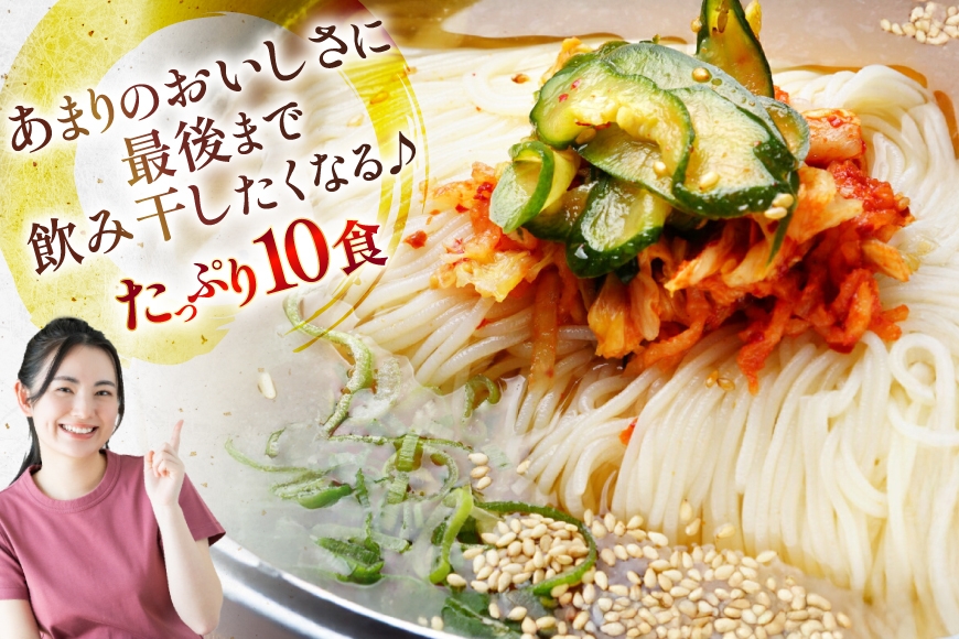 冷麺 りんご苑の冷麺 スープ付 10食 [りんご苑 山形県 高畠町 tk06ays660000] スープ 自家製 生麺 時短 簡単 手軽 冷凍