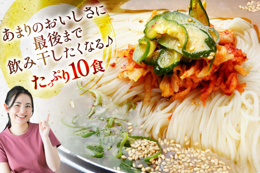 冷麺 定期便 3回 りんご苑の冷麺 スープ付 10食 計30食 [りんご苑 山形県 高畠町 tk06ays660002] スープ 自家製 生麺 時短 簡単 手軽 冷凍