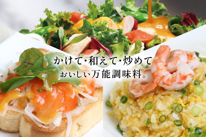 リッチ スタイル ドレッシング にんじん 2本 セット [セゾンファクトリー 山形県 高畠町 tk06ays740012] 和風 和風ドレッシング 人参 すりおろし ボトル クリーミー 調味料