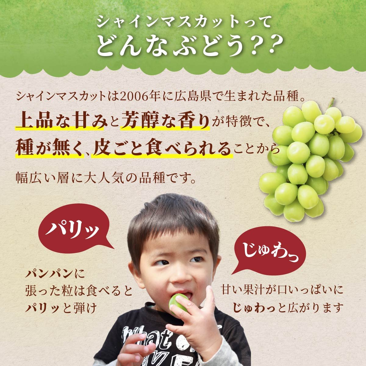 【期間限定発送】 シャインマスカット 2房 約1.2kg [治右衛門果樹園 山形県 高畠町 tk06ays830004] 箱詰め フルーツ 果物 くだもの ぶどう ブドウ 葡萄 1.2キロ 甘い