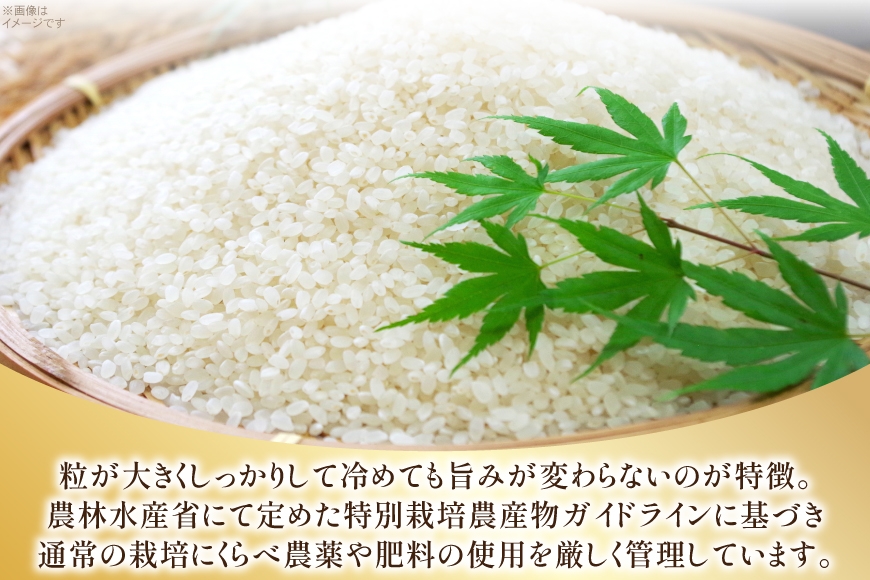 米 令和7年 特別栽培米 つや姫 5kg 2P 計 10kg [JA山形おきたま 山形県 高畠町 tk06ays870002] 5キロ 10キロ お米 ブランド米 ごはん ご飯 白米 精米 おこめ こめ つやひめ